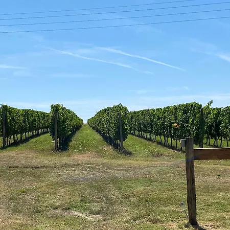Ma Demeure Dans Les Vignes