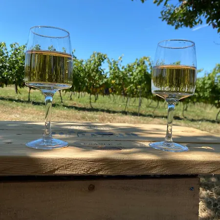 Ma Demeure Dans Les Vignes Bed & Breakfast Sainte-Foy-la-Longue