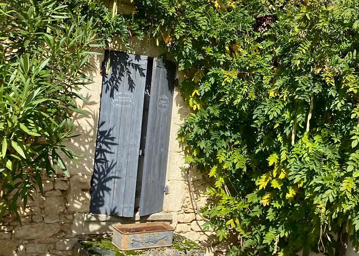 Ma Demeure Dans Les Vignes 住宿加早餐酒店 Sainte-Foy-la-Longue