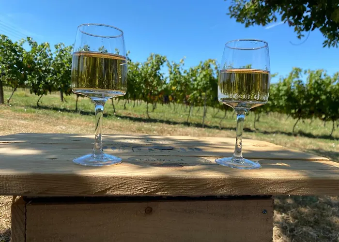 Ma Demeure Dans Les Vignes 住宿加早餐酒店 Sainte-Foy-la-Longue